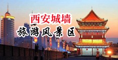 免费观看日本淫色小视频中国陕西-西安城墙旅游风景区